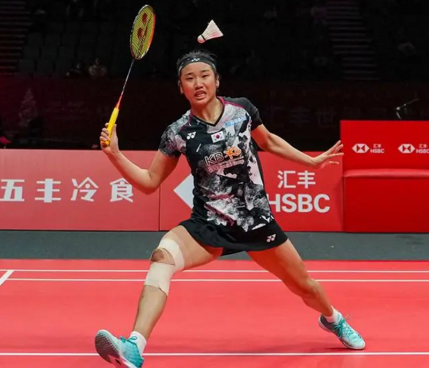 开云体育官方网站-包含韩国羽毛球队血洗泰国羽毛球队，戴资颖绝境逆转的词条