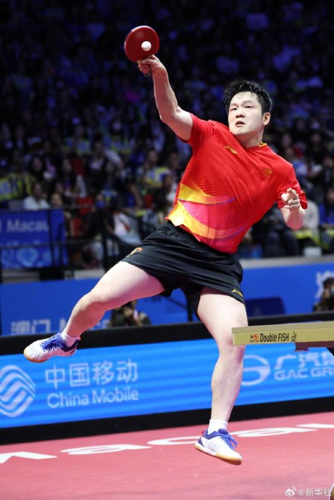 德国队绝杀韩国队,樊振东惊艳四座 德国队绝杀韩国队,樊振东惊艳四座