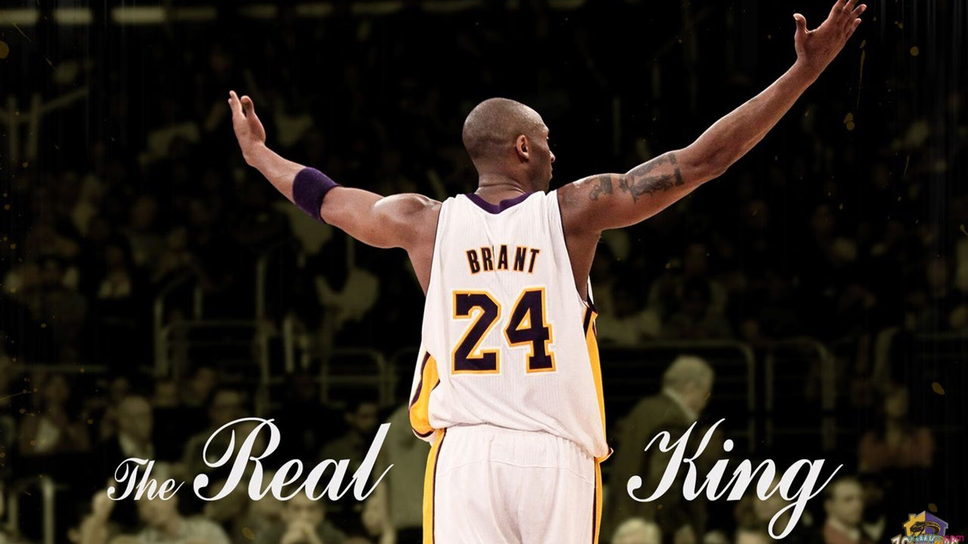 当波斯铁骑遭遇蓝军风暴，加克波如何以独特节奏掌控切尔西对阵伊朗的战术棋局